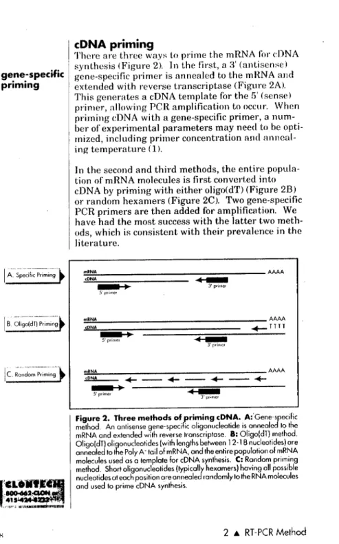 Figure 2. Three methods of rriming cDNA. A-'G,neje,i,nc melhod. An anlisense gene-speci ic oligonudeotide is nne lo t ie r-nRNA and extended with reverse Iranscriptase