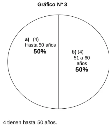 Gráfico Nº 3 