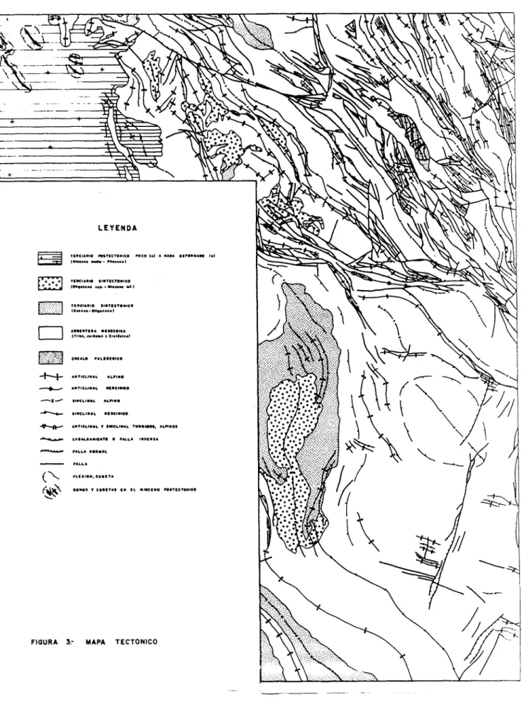 FIGURA 3.- MAPA TECTONICO