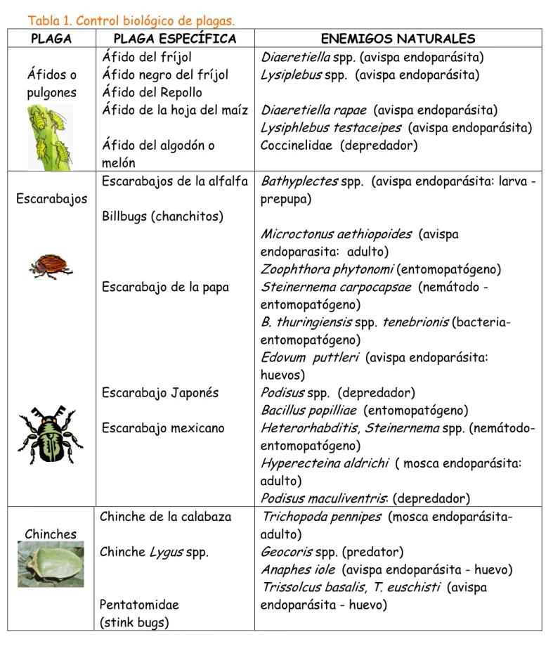 Tabla 1. Control biológico de plagas. 