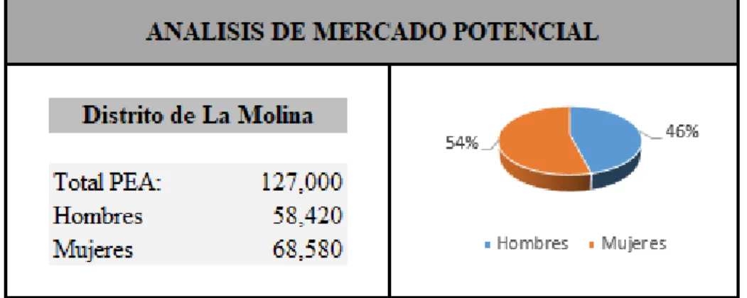 Figura 6. Análisis de Mercado Potencial del proyecto, fuente. Información del proyecto 