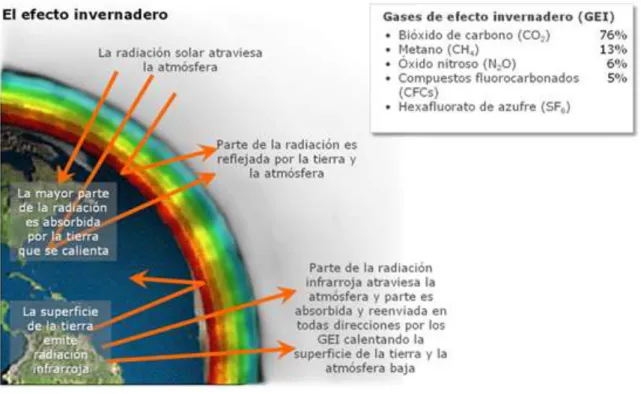 Figura 5: El efecto invernadero 