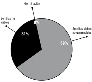 FIGURA  5 .  Categorización  de  la  viabilidad  y  latencia  en  semillas  de  guanábana (Annona muricata L.).