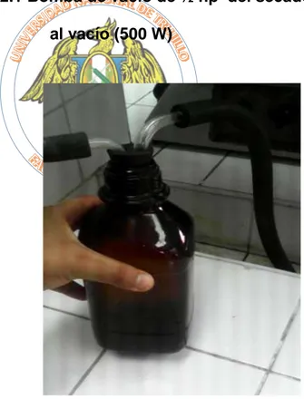 Figura 2.2 Botella para la absorción de humedad   en el secado al vacío: 