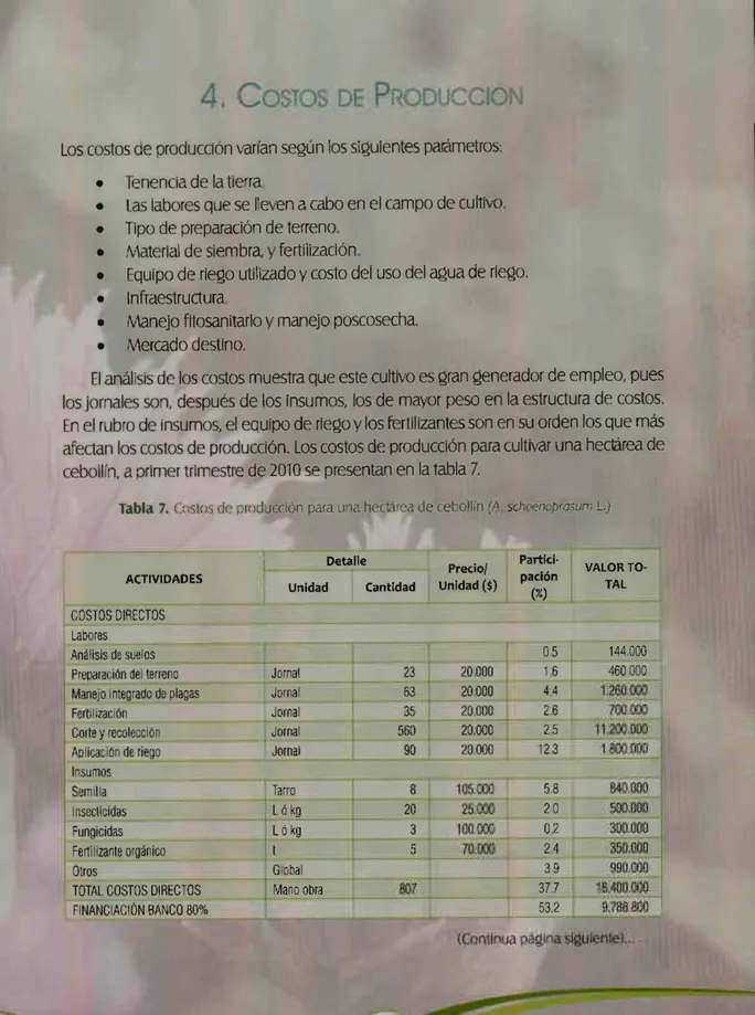 Tabla  7.  Costos  cic producción  para una hectárea  de  cebollin  (A  schoenoprasum  L.) 