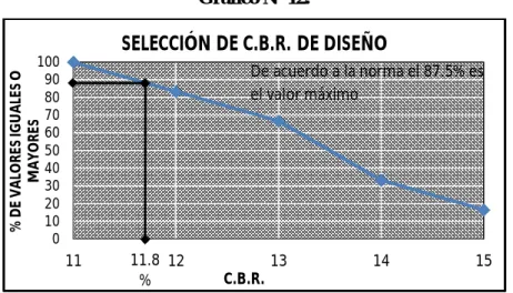 Gráfico Nº 12. 