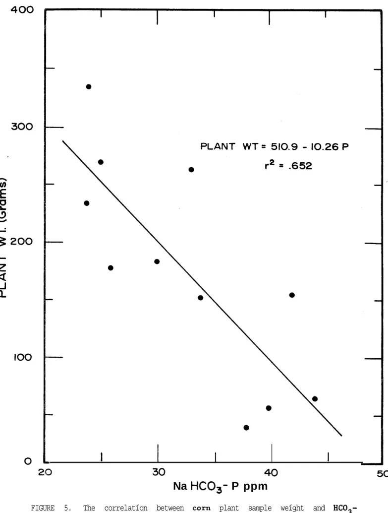 FIGURE 5. The correlatíon between  corn  plant sample weíght and  HC03- HC03-extractable P: eecond samplíng phase, Malambíto.
