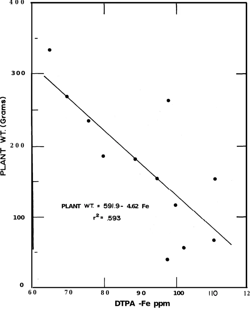 FIGURE 6. The correlatlon between  corn plant welght and DTPA-extractable Fe: second sampling phase,  Malmbito.
