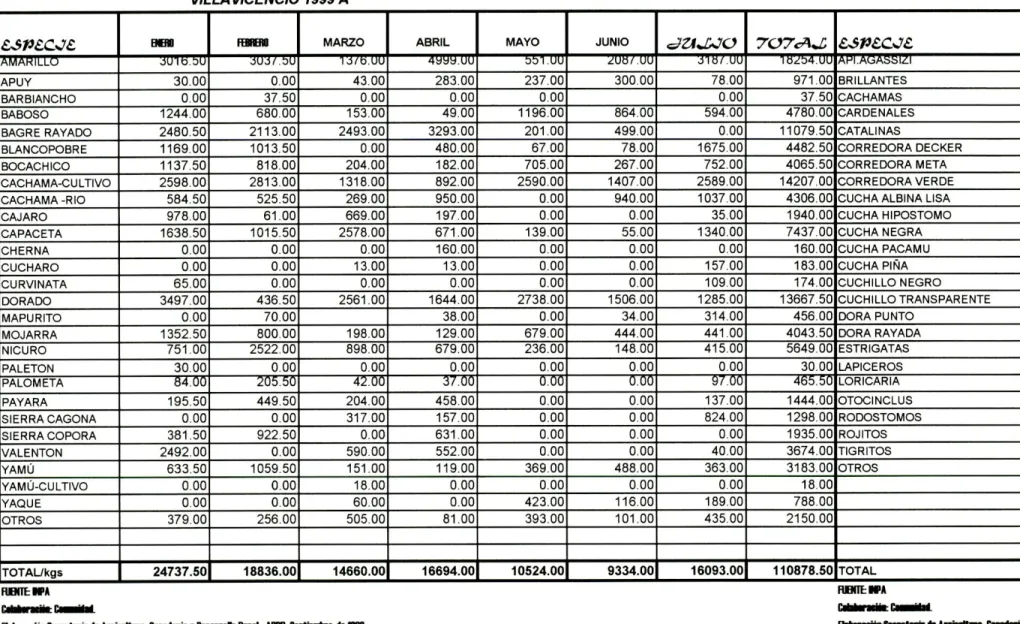 CUADRO No  2 REPORTE DE COMERCIALIZACION DE PECES DE CONS UMO / KILOS  VILLA WCENCIO 1999 A 