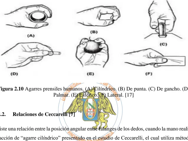 Figura 2.10 Agarres prensiles humanos. (A) Cilíndrico. (B) De punta. (C) De gancho. (D) 