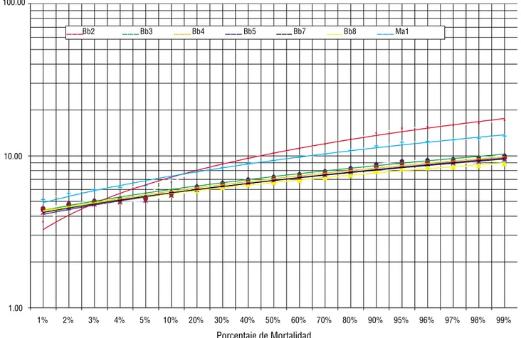 Figura 1. Línea base de mortalidad de las cepas Ma1 de M. anisopliae, Bb2, Bb3, Bb4, Bb5 y Bb8 de B