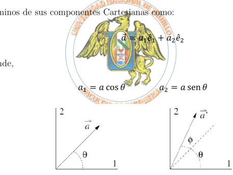 Figura 9. Rotación de un vector en un sistema coordenado Cartesiano. 