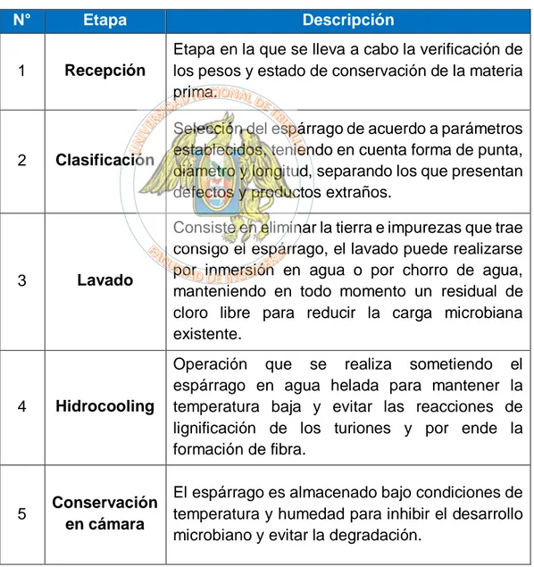 Tabla N° 4.2. Descripción del proceso de producción de espárragos en  conserva. 