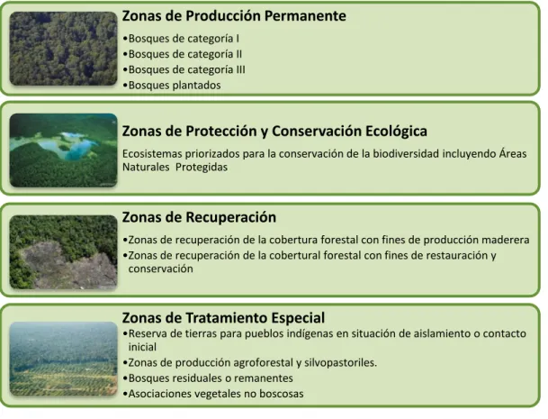 Figura 01. Categorías de zonificación forestal 