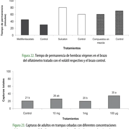 Figura 23. Capturas de adultos en trampas cebadas con diferentes concentraciones  del compuesto metil-fenilacetato en casa de malla