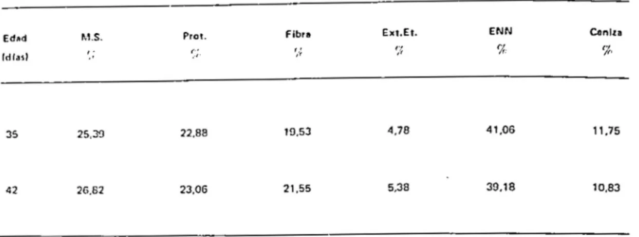 TABLA 3.  Coo fici~nle  d ..  dige~libH i dad  aparente &#34;'n  vivo&#34; de  fa  materia  sec~  y  de  las  fracciones proximales  del  pasto  manawa  a  fo~  135  y  42 df&#34;  de  edad