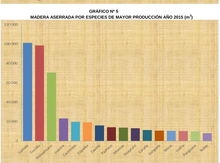 GRÁFICO Nº 5