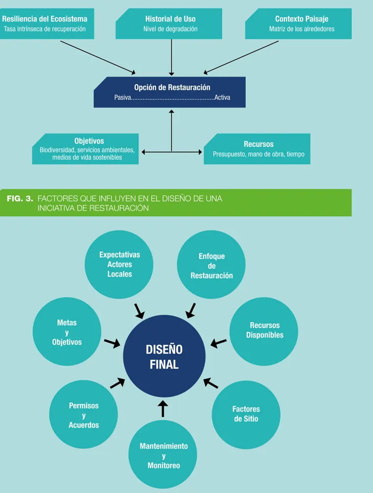 FIG. 2.  FACTORES QUE DEBEN SER CONSIDERADOS EN LA PLANIFICACIÓN  DE UNA INICIATIVA DE RESTAURACIÓN