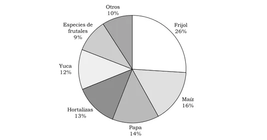 Figura 3.  Cultivos investigados por los CIAL.Otros10% Frijol26% Maíz16%Papa14%Hortalizas13%Yuca12%Especies defrutales9%