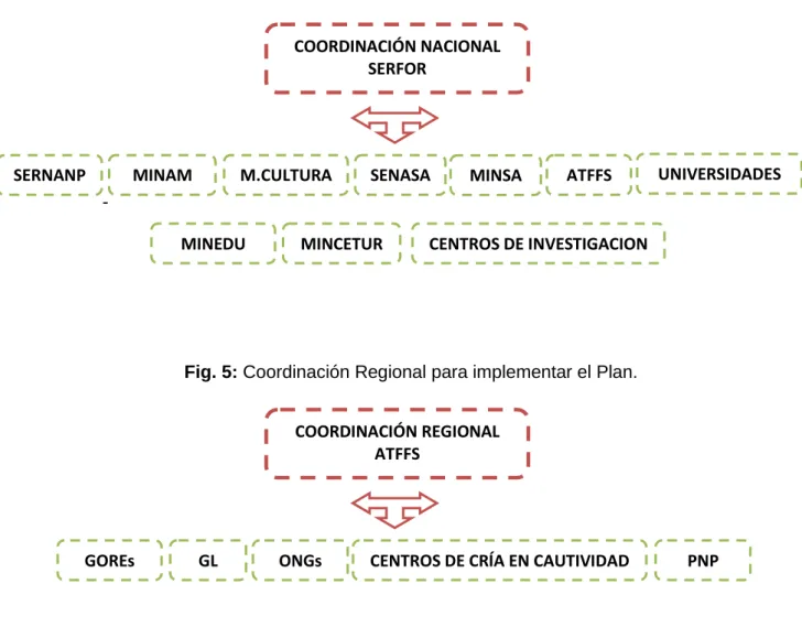 Fig. 5: Coordinación Regional para implementar el Plan. 