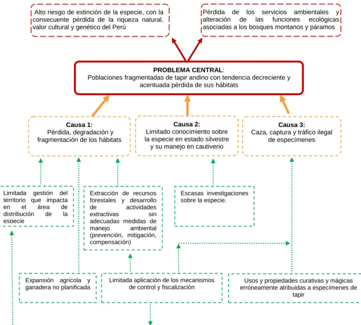 Figura 1: Árbol de Problemas  