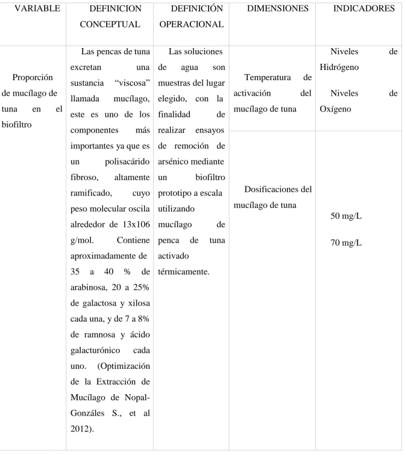 Tabla N°7: Variable Independiente  VARIABLE  DEFINICION  CONCEPTUAL  DEFINICIÓN  OPERACIONAL  DIMENSIONES  INDICADORES  Proporción  de mucílago de  tuna  en  el  biofiltro 