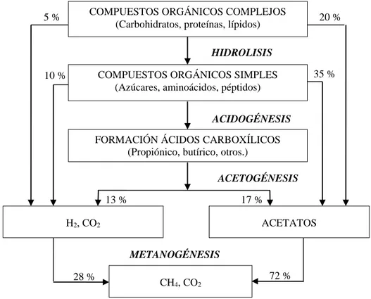 Fig. 4. Fases de los compuestos contaminantes en la digestión anaeróbica.                          Speece, 1996
