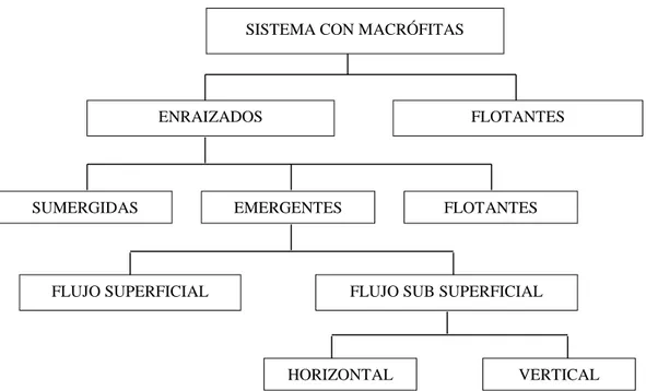 Fig. 5. Clasificación de los sistemas acuáticos con macrófitas ENRAIZADOS