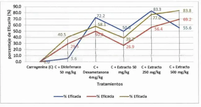 Figura  Nº  07.  Porcentaje de  eficacia antiinílamatoria del  extracto  metanólico de  Eritroxylon  coca  sobre  el  edema  subplantar inducido  por  carragenina en  ratas