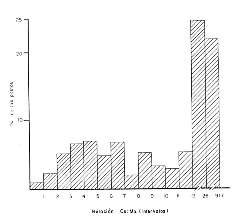 FIGURA 5. Distribuciófl porcentual de Ia relación Cu:Mo por intervalos para todos los pastos