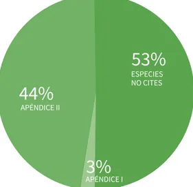Figura 7. Porcentaje de especies CITES comercializadas ilegalmente en mercados (2007-2012) Fuente: WCSCasi el 50% de las especies identificadas durante el monitoreo en 