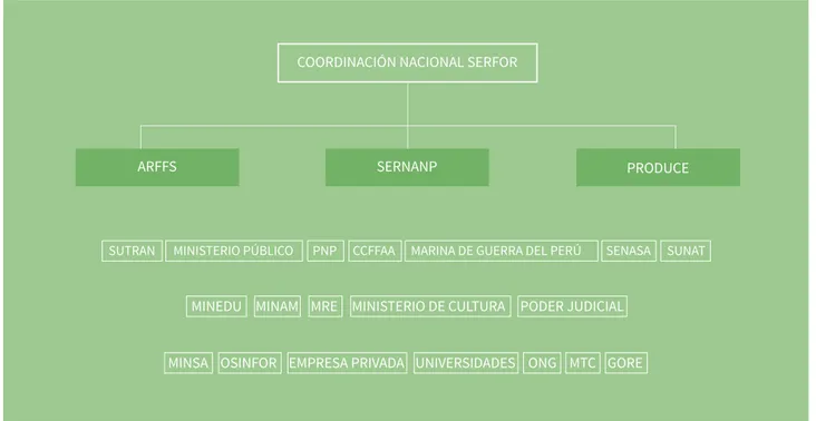 Figura 12. Coordinación nacional para la implementación de la Estrategia y su Plan de Acción