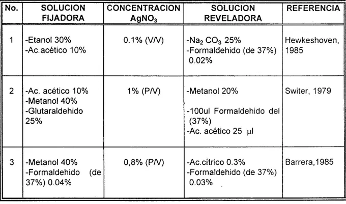 Cuadro 3. Protocolos ensayados para la estandarización de la metodología de tinción con nitrato de plata.
