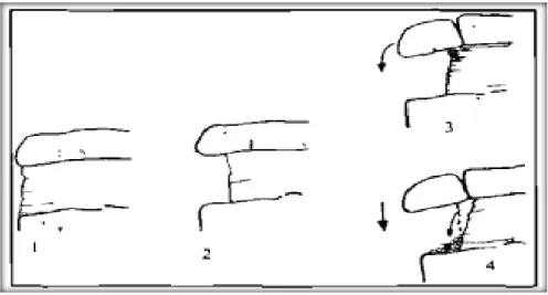 Figura 17: Fases del mecanismo de desprendimiento: 1) Serie alternante, 2) Diferente grado de  meteorización y erosión, 3) Basculamiento del estrato superior.4) Rotura en el pie de bloque