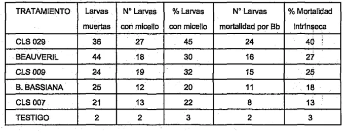 Tabla 3.  Mortalidad lntrfnseca de  Plutella xylostella  después del tratamiento con diferenteS fuentes  de  Beauvarla bassiana,  a una concentración de 1x10 9 •  Datos procedentes de'60 larvas 