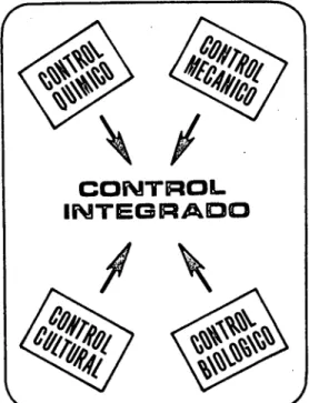 Figura 3.  Control integrado de E. ello lo