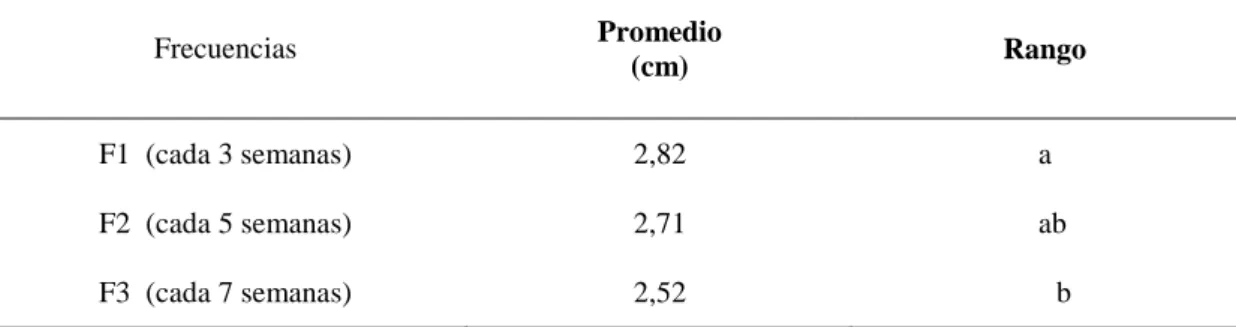 CUADRO  9.  PRUEBA  DE  TUKEY  AL  5%  PARA  EL  FACTOR  FRECUENCIAS  EN  LA  VARIABLE  DIÁMETRO  POLAR  DE UNIBULBOS  Frecuencias  Promedio  (cm)  Rango  F1  (cada 3 semanas)  2,82  a  F2  (cada 5 semanas) 2,71    ab  F3  (cada 7 semanas) 2,52       b 