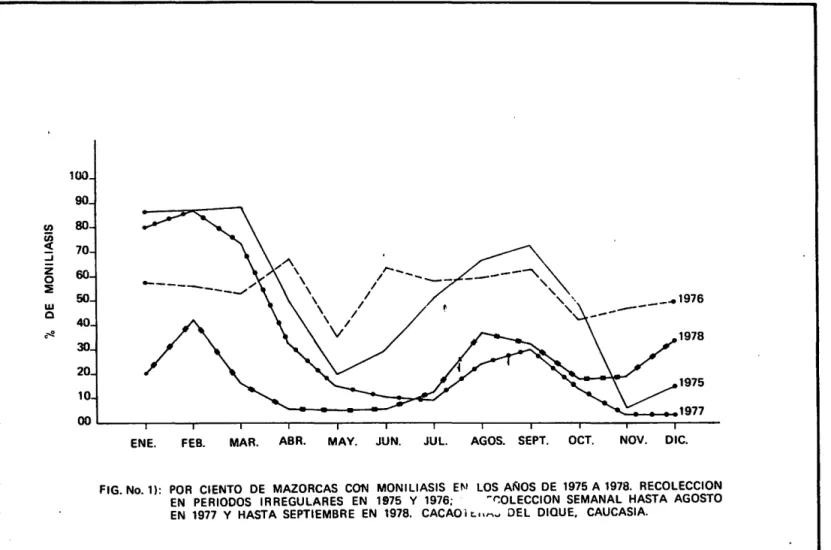 FIG. No.  1):  POR  CIENTO  DE  MAZORCAS  CON  MONILIASIS  EN  LOS  At:.IOS  DE  1975  A  1978