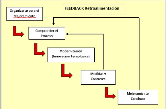 Figura N°04: Esquema simplificado del proceso de mejora continua . 