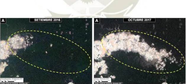 Figura 9. Imágenes satelitales de la pérdida de bosque en La Pampa, Madre de Dios. 