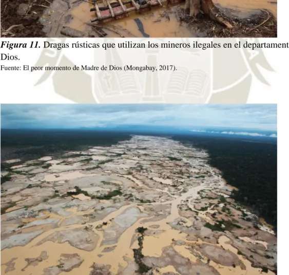 Figura 12. Degradación del bosque en el departamento Madre de Dios debido a la minería  aurífera