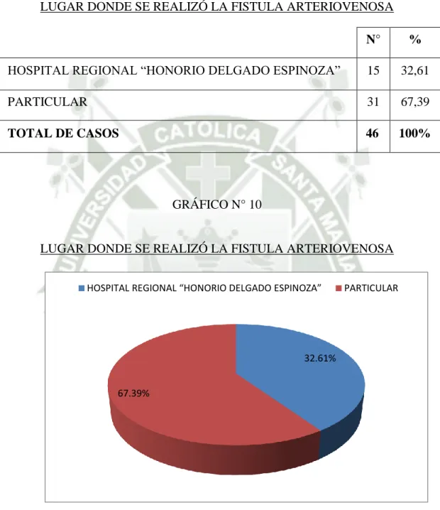 GRÁFICO N° 10 