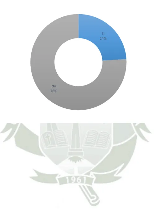 GRÁFICO Nº 05     Si 24% No 76%
