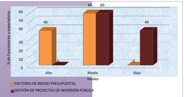Figura 1. Niveles de los factores de riesgo de ejecución presupuestal en la gestión  de proyectos de inversión pública del Gobierno Regional La  Libertad -  2013