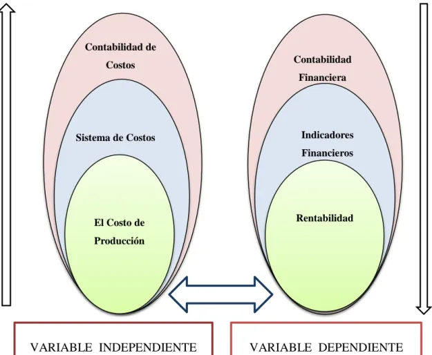 Gráfico 2. Superordinación conceptual 