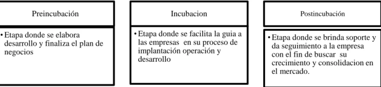 Gráfico Nº 15 Etapas de incubación 