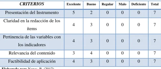 Tabla 4: Criterios de expertos 