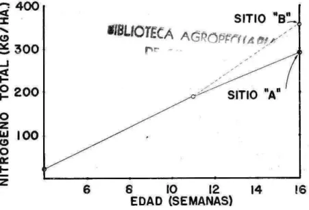Fig, 3. - Contenido total de nitrOgeno de Ia  Crotalaria  juncea, en rclaciOn con la edad de Ia planta