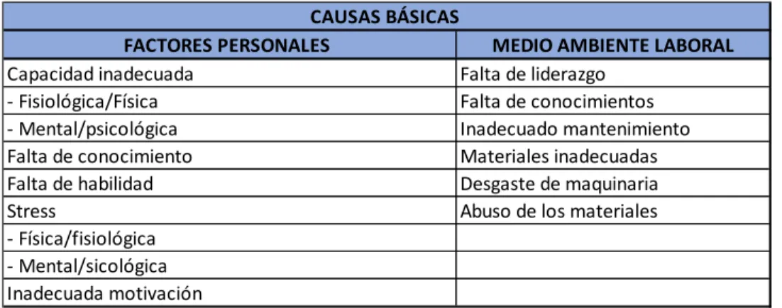 Gráfico 5: Causas básicas 