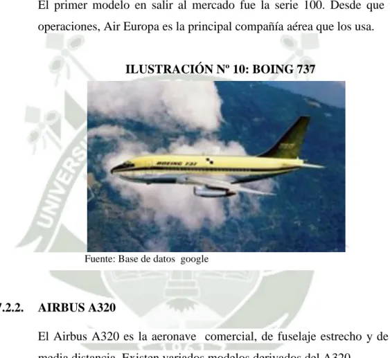 ILUSTRACIÓN Nº 10: BOING 737 